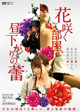 苹果视频精选《长安夜行录》竖版海报